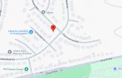 Who shot and killed a grandmother in Prince George’s County?