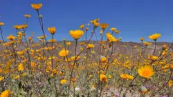 San Diego County’s state parks among best in California, poll says