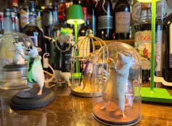 Coming soon to downtown San Jose: Coffee, amaro cocktails and stuffed mice