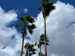 Wind advisory in forecast Saturday for San Diego deserts
